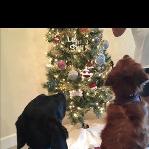 Meet your Posher, Lynn